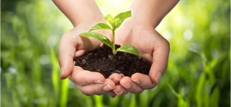 Imagem de duas mãos segurando uma muda de planta