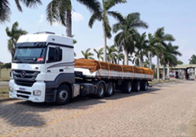 Imagem de um caminão de carga com toras de madeira próximo a coqueiros