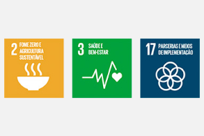 Etapas de fome zero, saúde e parcerias sobre as metas globais de sustentabilidade