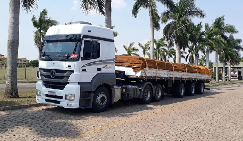 Caminhão de entrega da Ajinomoto estacionado ao lado de coqueiros