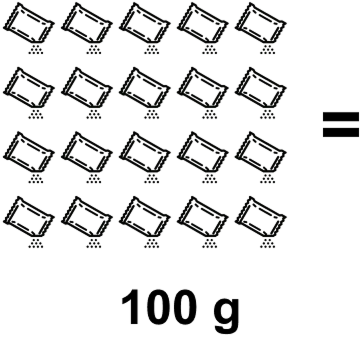 20 sachês de tempero que totalizam 100 gramas