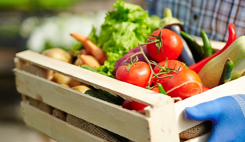 Pessoa segurando uma caixa de madeira com legumes e verduras