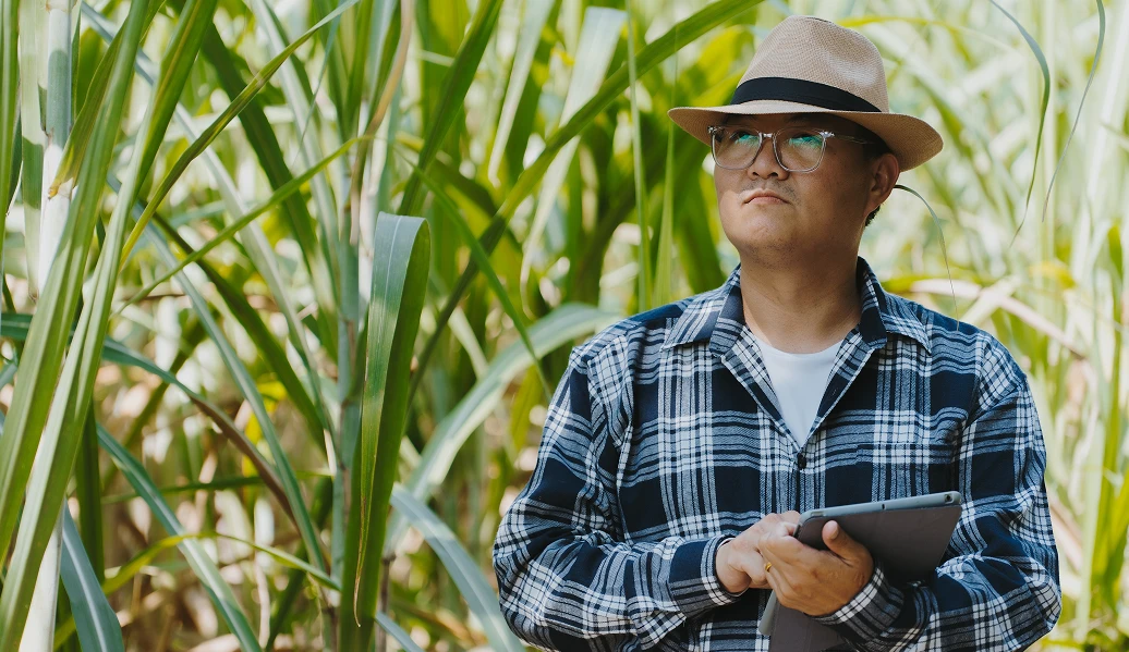 Homem ao lado de uma plantação