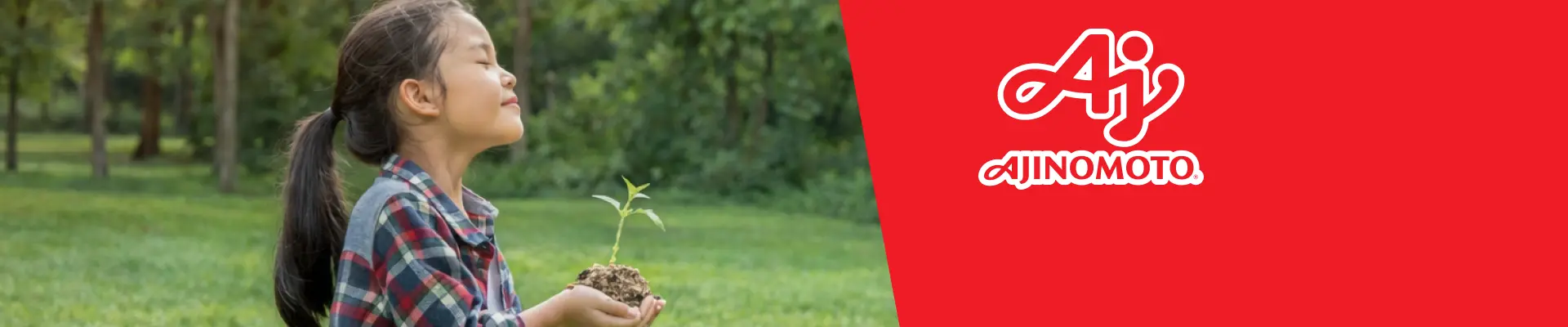 Banner sustentabilidade